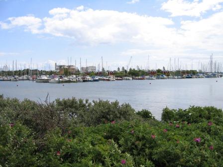 147_4801.jpg